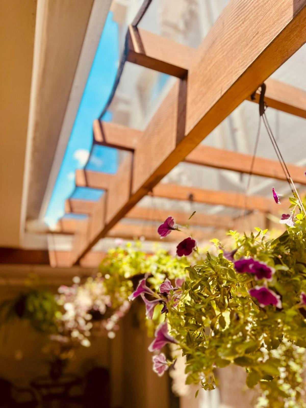 Skalla Hotel Nova Odessa Exteriér fotografie